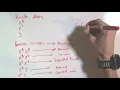 Genetic Practice problems Genetic Exercise A