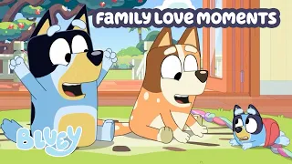 family love full episodes full episode compilation bluey