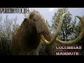 Download Lagu prehistoric Columbian Mammoth screen time
