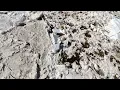 02-20-2026 Emlenton PA - Massive Ice Jam