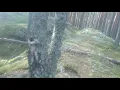 Brūveļa kalns Lejasciema novads Barefoot Trail run