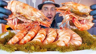 اصوات الاكل للروبيان الملك العملاق مع عنب البحر ASMR Giant Steamed King Prawns Shrimps Sea Grapes 