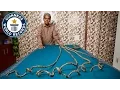 Video di Longest fingernails on a single hand (ever) - Guinness World Records