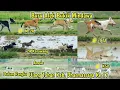 Download Lagu BURU ALEK BUKIK MINDAWA DALAM RANGKA ULANG TAHUN KAB. DHARMASRAYA | Part I | Rodyank Channel