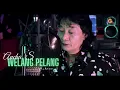 Lagu Ancha. S - Welang Pelang