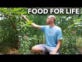 Plant This Once and it will Feed You Forever