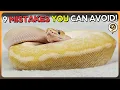 9 Mistakes New Ball Python Breeders Need to Avoid - 2 is Critical
