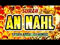 Download Lagu SURAH AN NAHL - ABDALLAH HUMEID - FULL CHAPTER