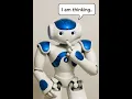 Nao Robot AI Vision ChatGPT - Skynet Link