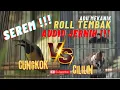 Download Lagu MASTERAN CUCAK CUNGKOK CILILIN ROLL TEMBAK SEREM !!! JEDA AUDIO JERNIH !!! FULL TEMBAKAN BERBAHAYA !