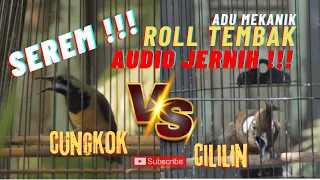 masteran cucak cungkok cililin roll tembak serem jeda audio jernih full tembakan berbahaya 