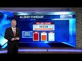 Tree grass pollen count very high in western Massachusetts
