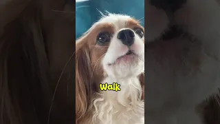 Oakley’s Walk Complaint Department