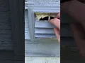 Bob on the Job - 4-Louver Dryer Vent Cap Lafayette Appliance Repair