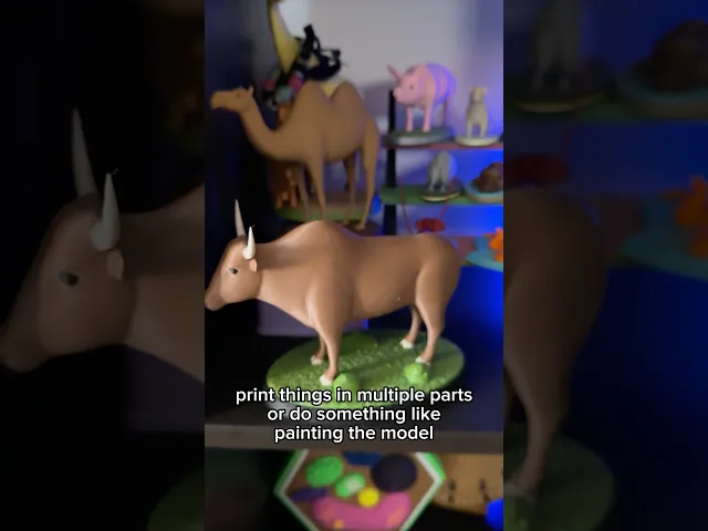 Bull video thumbnail