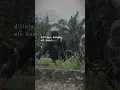 Download Lagu Ceritakan pada ku,Bagaimana tempat mu yang baru😇 MAMAK Lebaran H-3