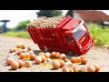 Download Lagu Truk Oleng Muat Telur Malah Terguling sampai Telurnya Pecah Semua