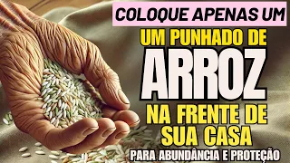 COLOQUE UM PUNHADO DE ARROZ NA ENTRADA DE SUA