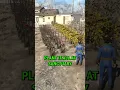 Best Way To Make Adhesive in Fallout 4