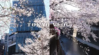 tokyo vlog march april 2026