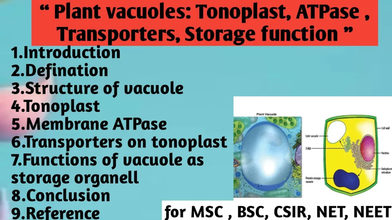 Plant vacuoles | Tonoplast | ATPase | Transporters | Storage function | Structure | Function