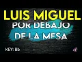 Luis Miguel - Por Debajo De La Mesa - Karaoke Instrumental - Bajo