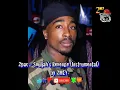 Download Lagu 2pac - Souljah's Revenge (Instrumental) by 2MEY