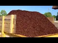 WORLD S BEST MULCH IS DOUBLE SHRED WALNUT