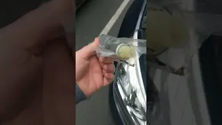 2014 Malibu 2 5 INTAKE VVT p16d0 solenoid replacement