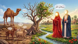 Hazrat Amina ke Nikah Par Mojzat | Muhammad ﷺ ki walida Bibi Amina ke nikah ka waqia