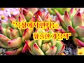 Download Lagu \