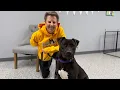 It s a godsend for me Buffalo C A R E S Animal Rescue