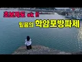 Download Lagu 태안 학암포방파제 낚시 초보자도 손맛보기 좋은 발판 좋은 포인트 다녀왔어요