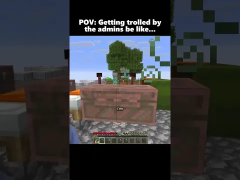 the server admins be wildin 😭