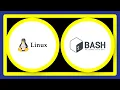When to use Bash and when to use Ruby