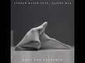 Open End Resource (In My Next Life Mix - Edit) (feat. Alison May) - Andrew Bayer