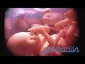 Devocional 152 UNA NUEVA GENERACION - El nacimiento de Jacob y Esau