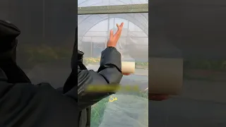 أكثر شريط لاصق عديم الفائدة في العالم يكلف 800 دولار لكل لفة 