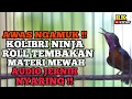 Download Lagu TERAPI KOLIBRI NINJA GACOR FULL ROL TEMBAK - MATERI MEWAH❗Joz untuk Pancingan \u0026 Masteran Konin Bahan