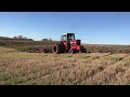 IH 1086 with IH 5500 chisel plow