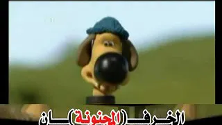 الخرفان المجنونه مدبلج اردني اتحداك ما تضحك 