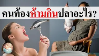 อาหารคนท้อง : คนท้องห้ามกินปลาอะไร? | คนท้องห้ามกินอะไร | คนท้อง Everything