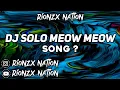 Download Lagu DJ SOLO MEOW MEOW