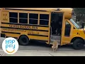 Dogs Love Taking School Bus To Doggy Day Care