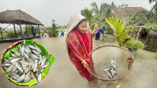 আজ বাড়ির উঠান থেকে প্রচুর মাছ ধরলাম, রান্না হলো মাছের ঝাল, টক সাথে একটা সবজি