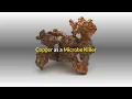 Copper as a Microbe Killer