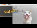 Omegle ip locator pt1