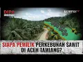 Lagu Penelusuran Perkebunan Sawit di Aceh Tamiang, Siapa Pemiliknya? | DIPO INVESTIGASI