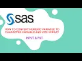INPUT AND PUT FUNCTION IN SAS - INTERVIEW QUESTION