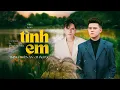 Download Lagu TÌNH EM | TRỊNH THIÊN ÂN x THÁI HỌC